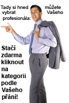 Tady si hned můžete vybrat Va&scaron;eho profesion&aacute;la: Stač&iacute; zdarma kliknout na kategorii podle Va&scaron;eho př&aacute;n&iacute;!